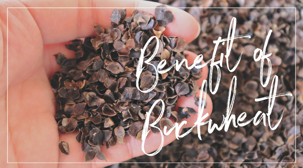 The Benefit of Buckwheat – Takaokaya