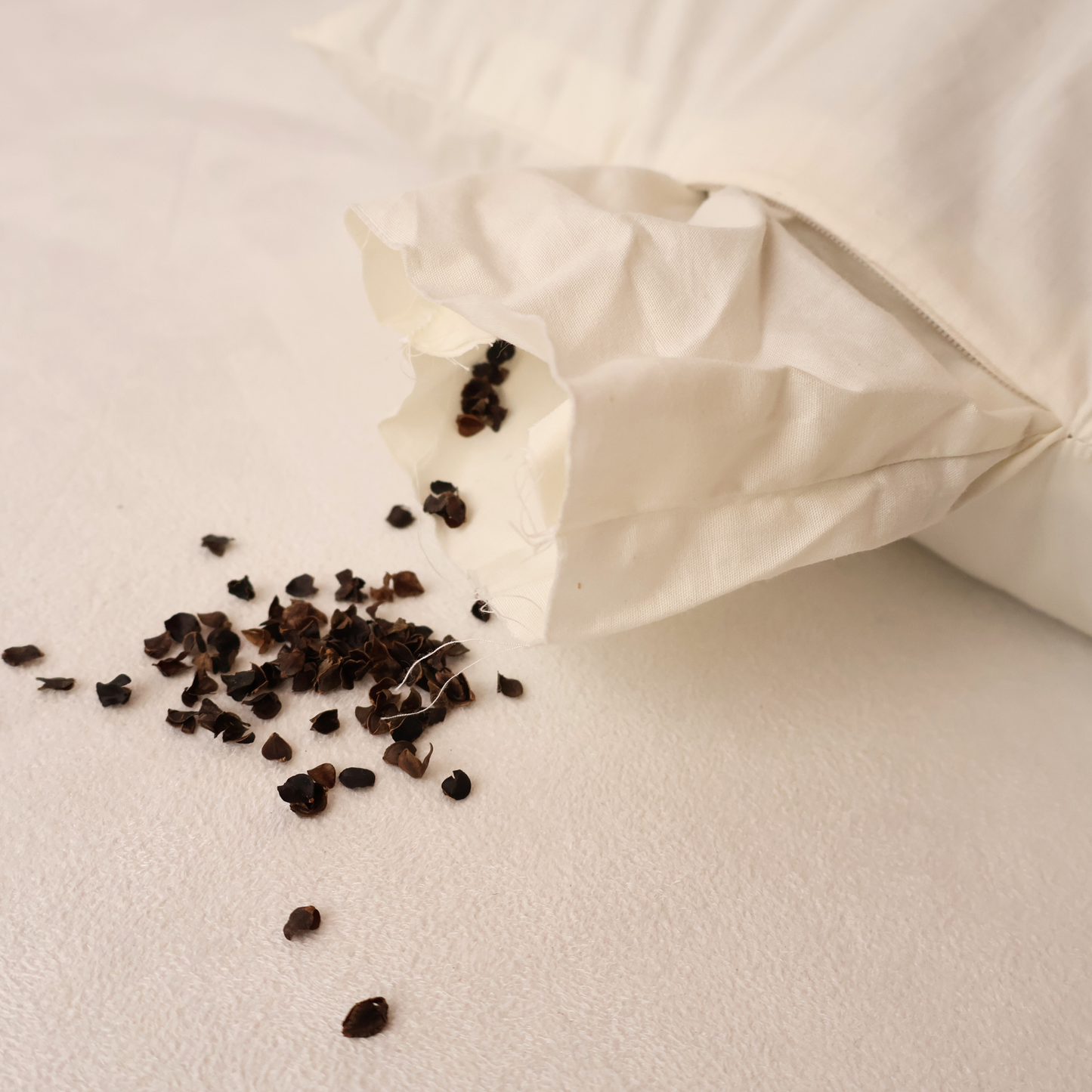 Standard Pillow (Insert & Cover Set) - Cotton - Takaokaya,  zabuton, futon, cushion, made in Kyoto