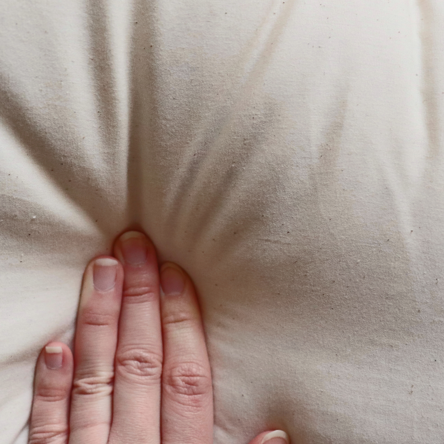 Kyoto Zabuton Cushion Insert